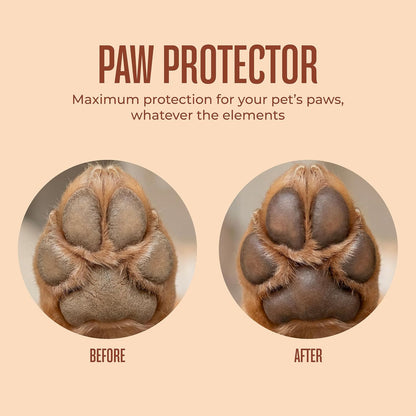 WagWell microbiome-friendly dog skincare