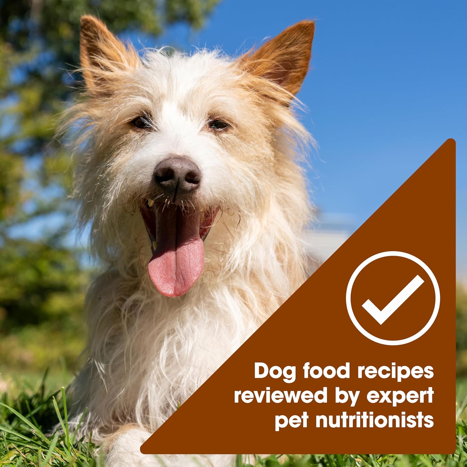 Healthy grain free chicken and venison wet dog food cup close up