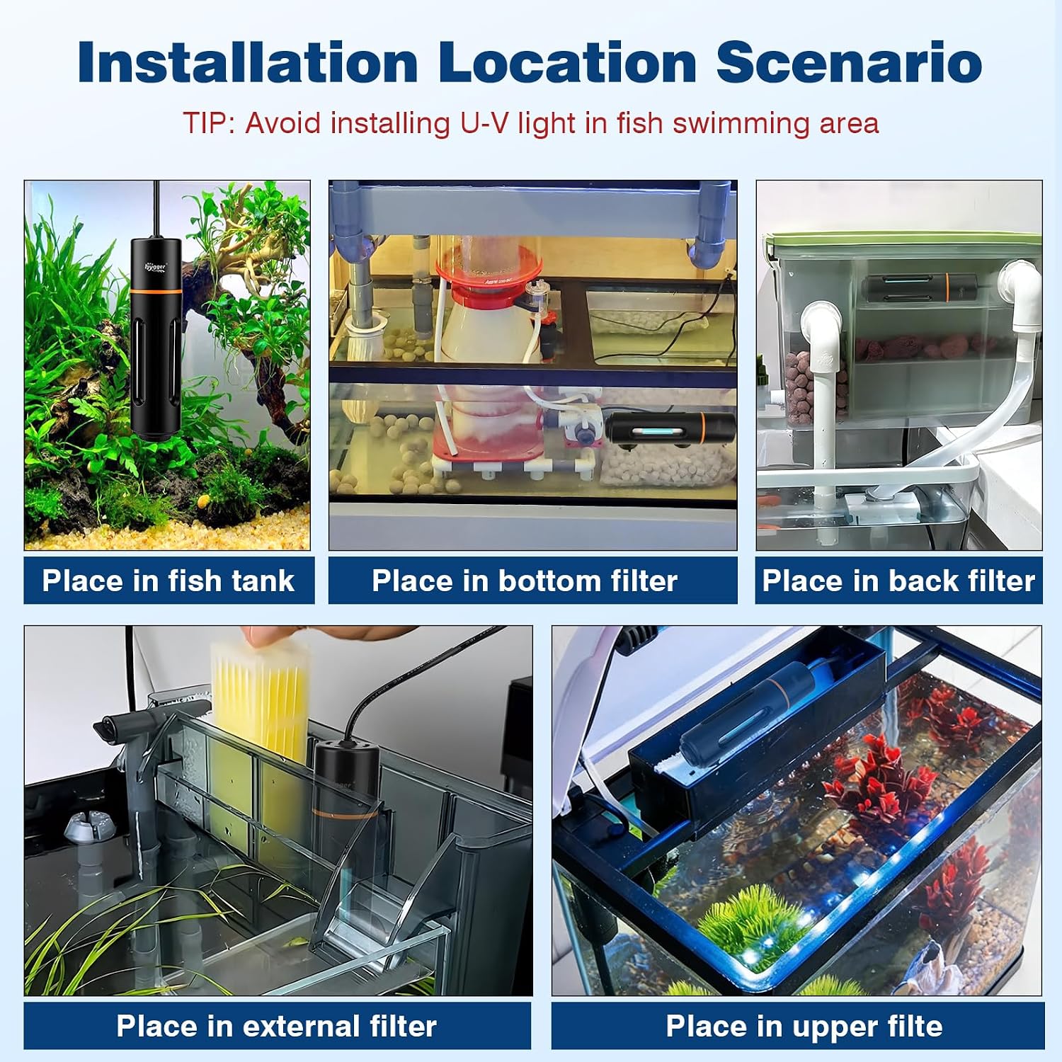 Amphibian And Turtle Tank Setup With Protective Light
