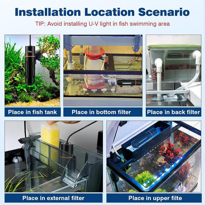 Amphibian And Turtle Tank Setup With Protective Light