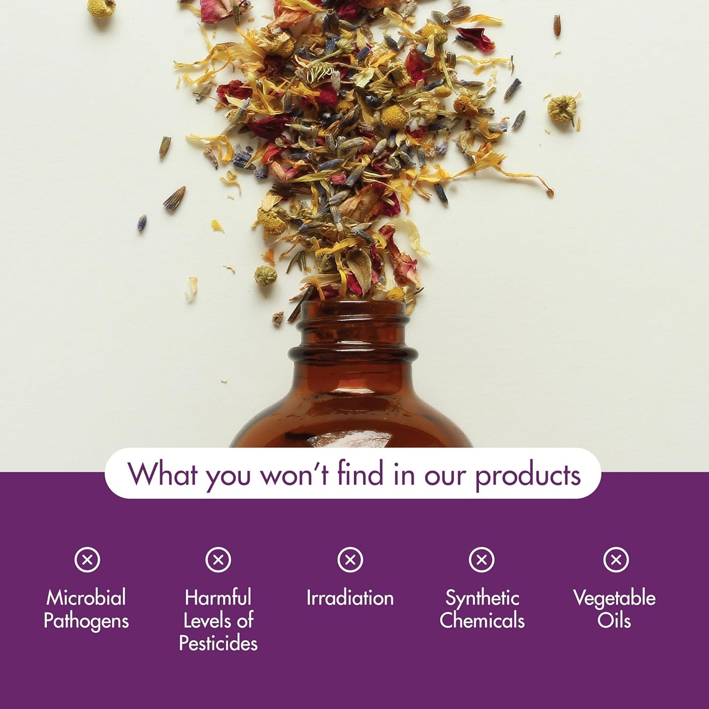 Premium imported NOW Foods Camphor oil bottle placed upright on a clean background