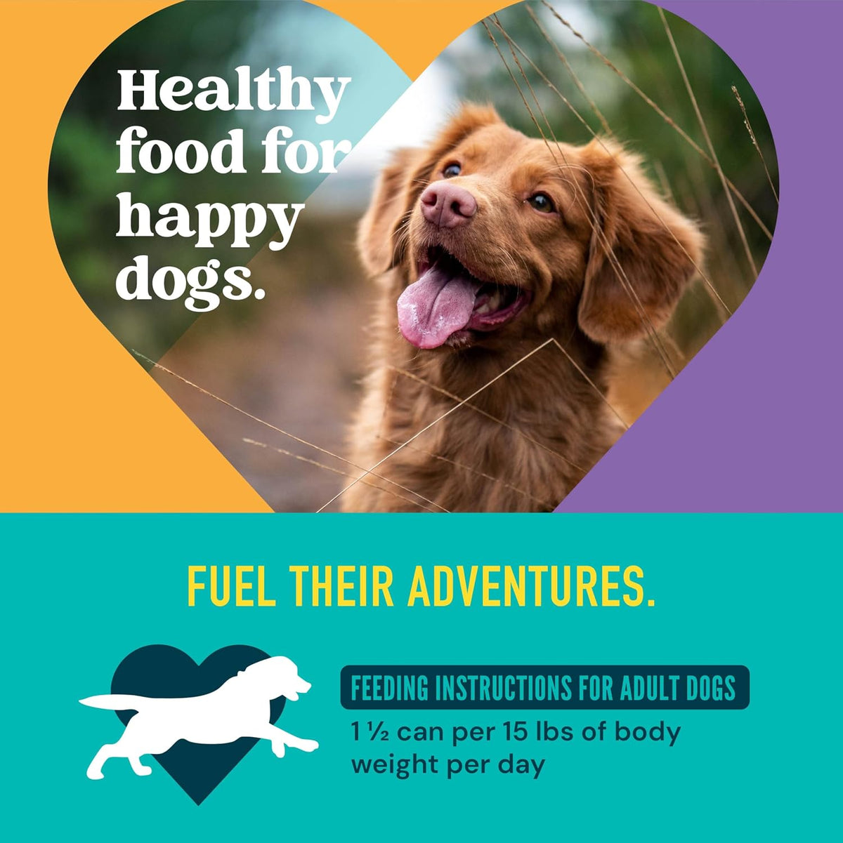 Strongheart country stew complete and balanced wet dog food can back view