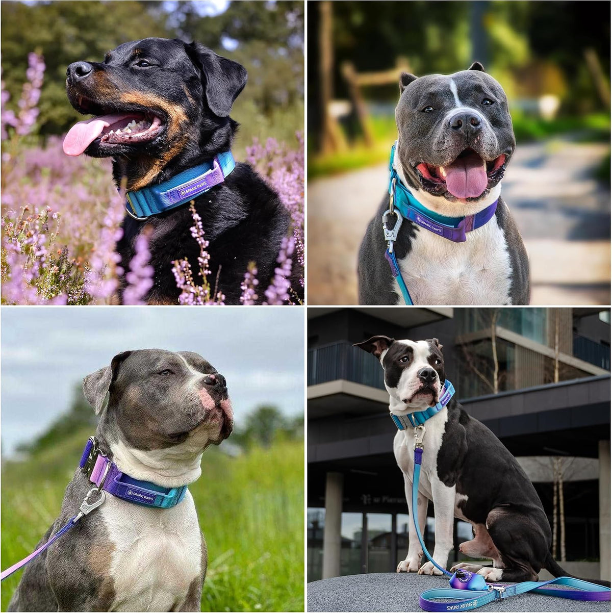 Spark Paws tactical dog collar high quality stitching view