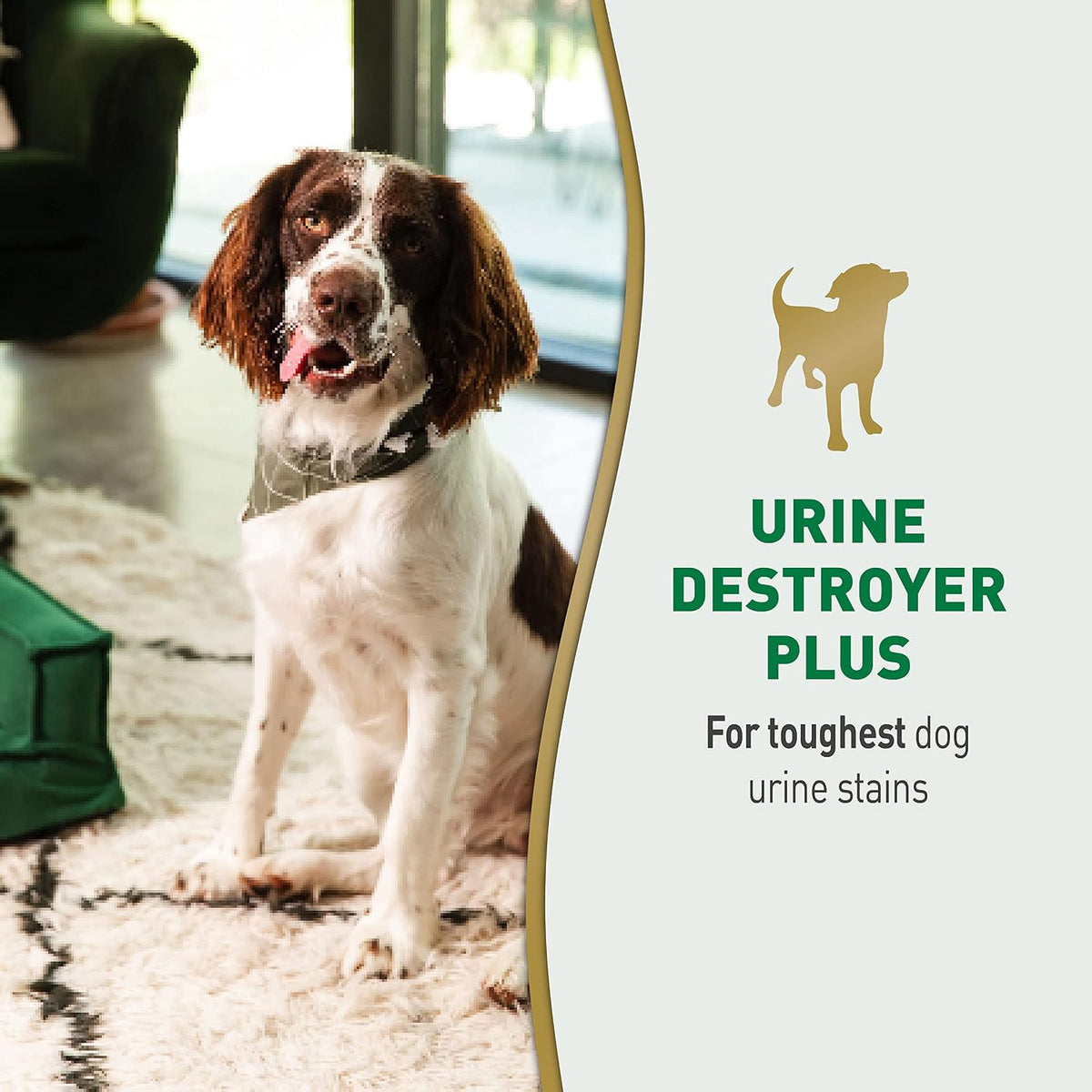 Nature's Miracle Urine Destroyer Plus for Dogs, Enzymatic Formula for Severe Dog Urine Stains, 32 oz - Image 3