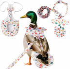 Magnoloran reusable chicken and duck diaper front view in chicken-mushroom pattern