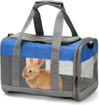 PINVNBY small animal carrier in use for outdoor travel