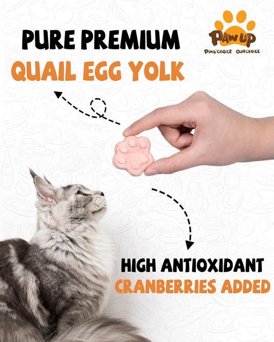 Close up of Pawup natural quail egg yolk pet snack morsels