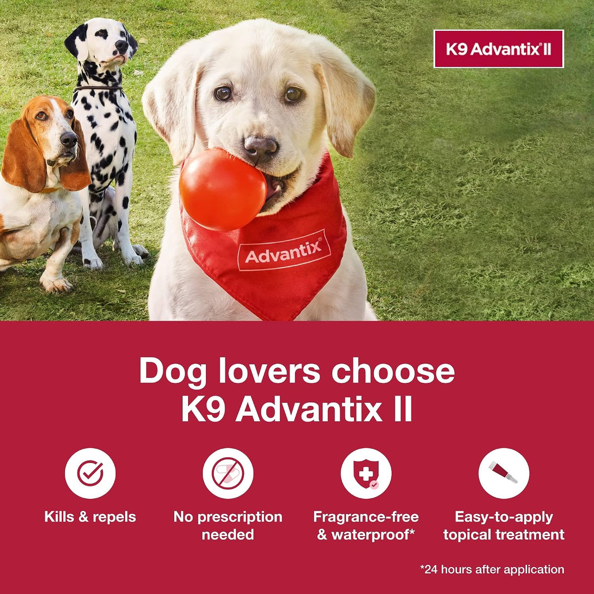 K9 Advantix II 6 month supply application guide graphics
