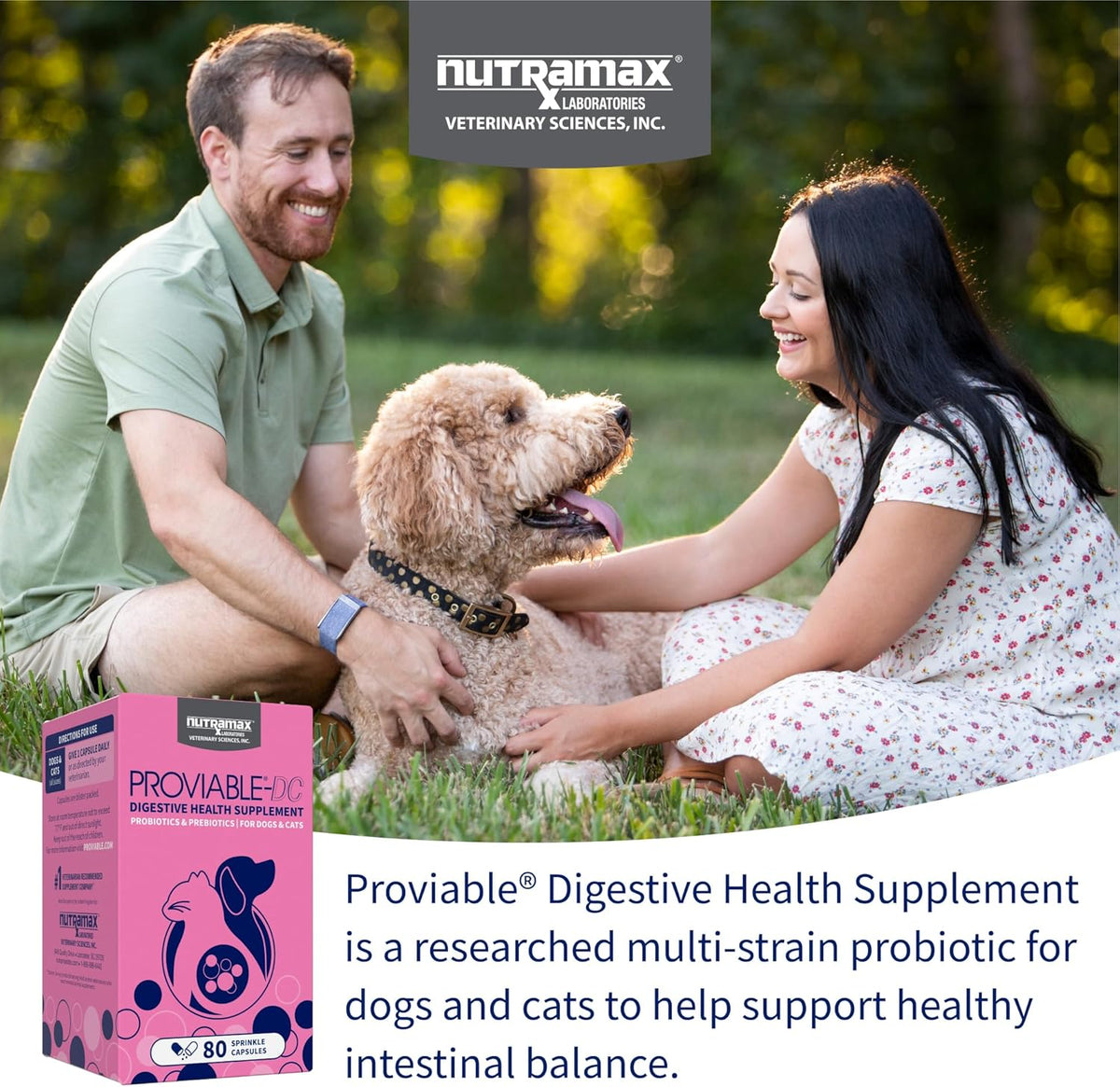 Nutramax digestive supplement for pets 80 count capsules