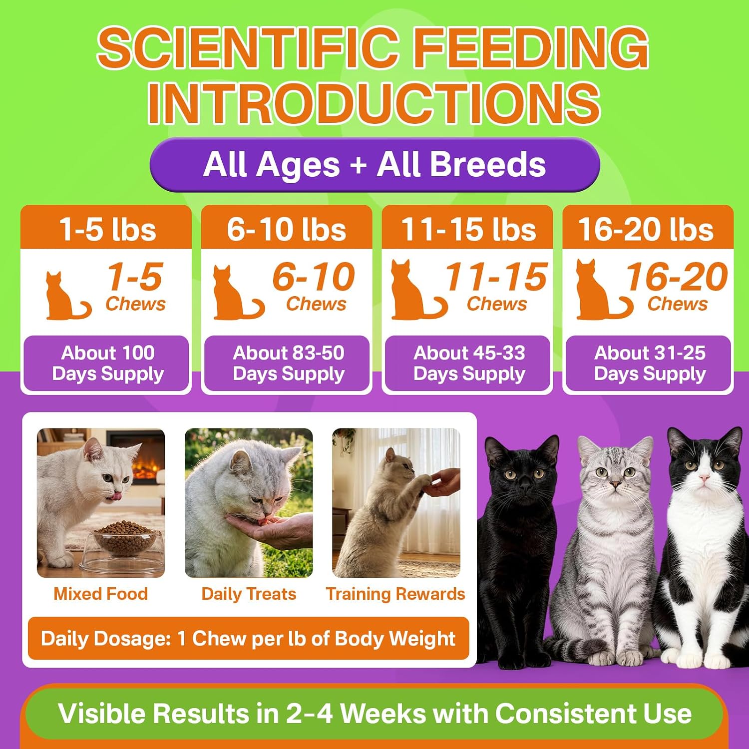 Puyrzoe five hundred count cat flea defense supplements close up