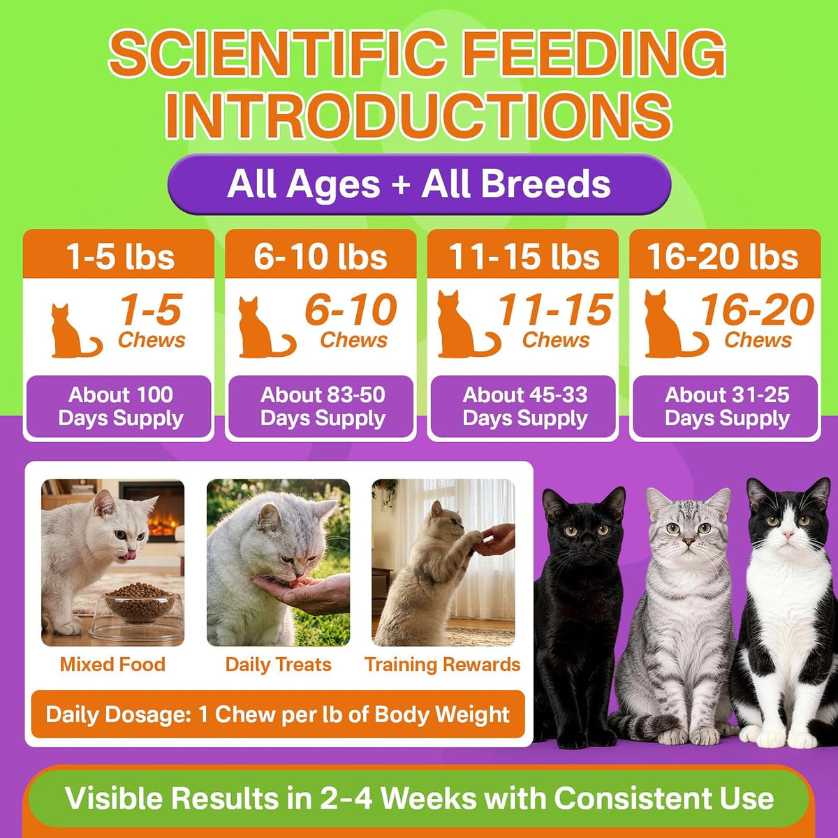 Puyrzoe five hundred count cat flea defense supplements close up