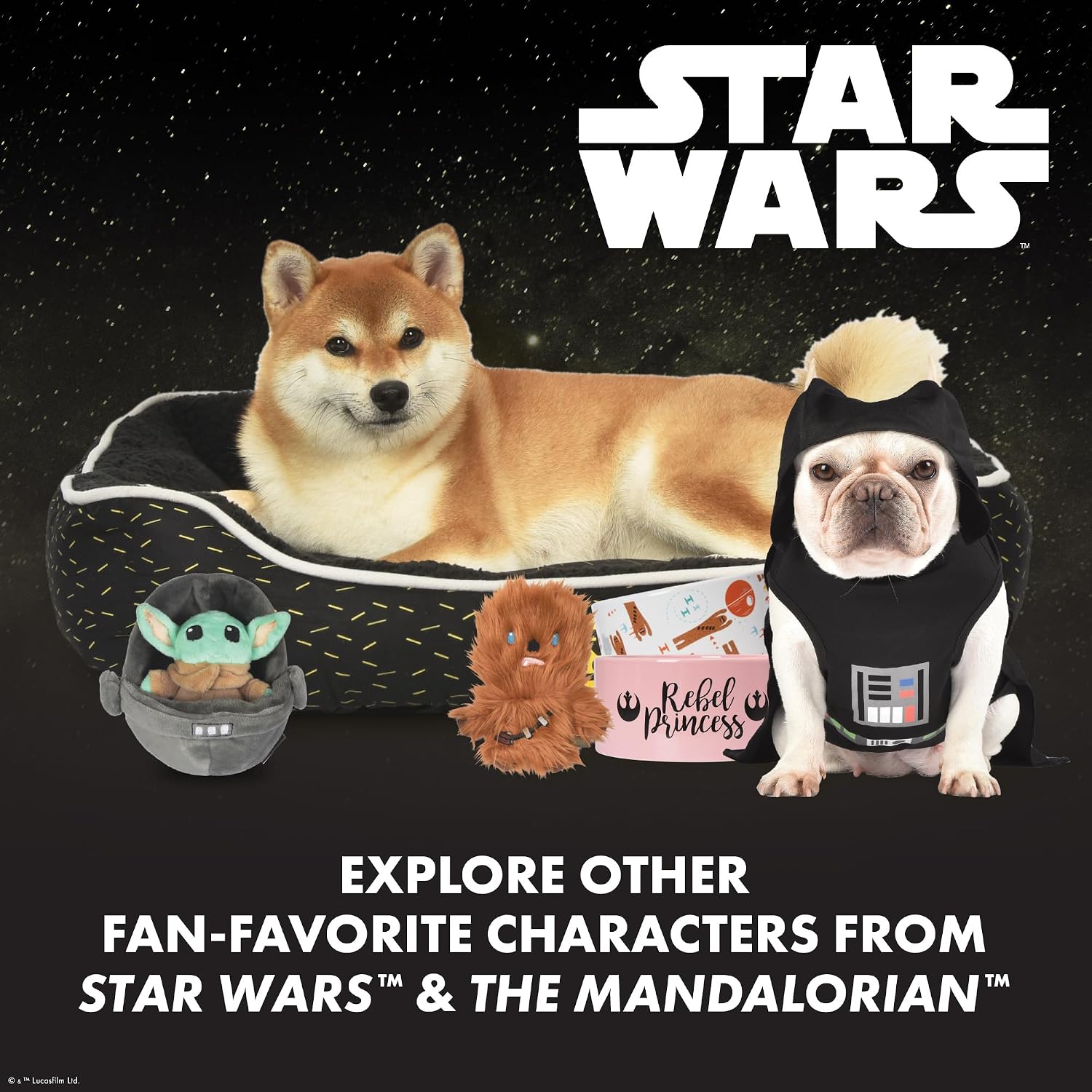 Authentic USA imported Star Wars interactive cat toys set for indoor lifestyle