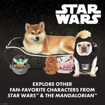 Authentic USA imported Star Wars interactive cat toys set for indoor lifestyle
