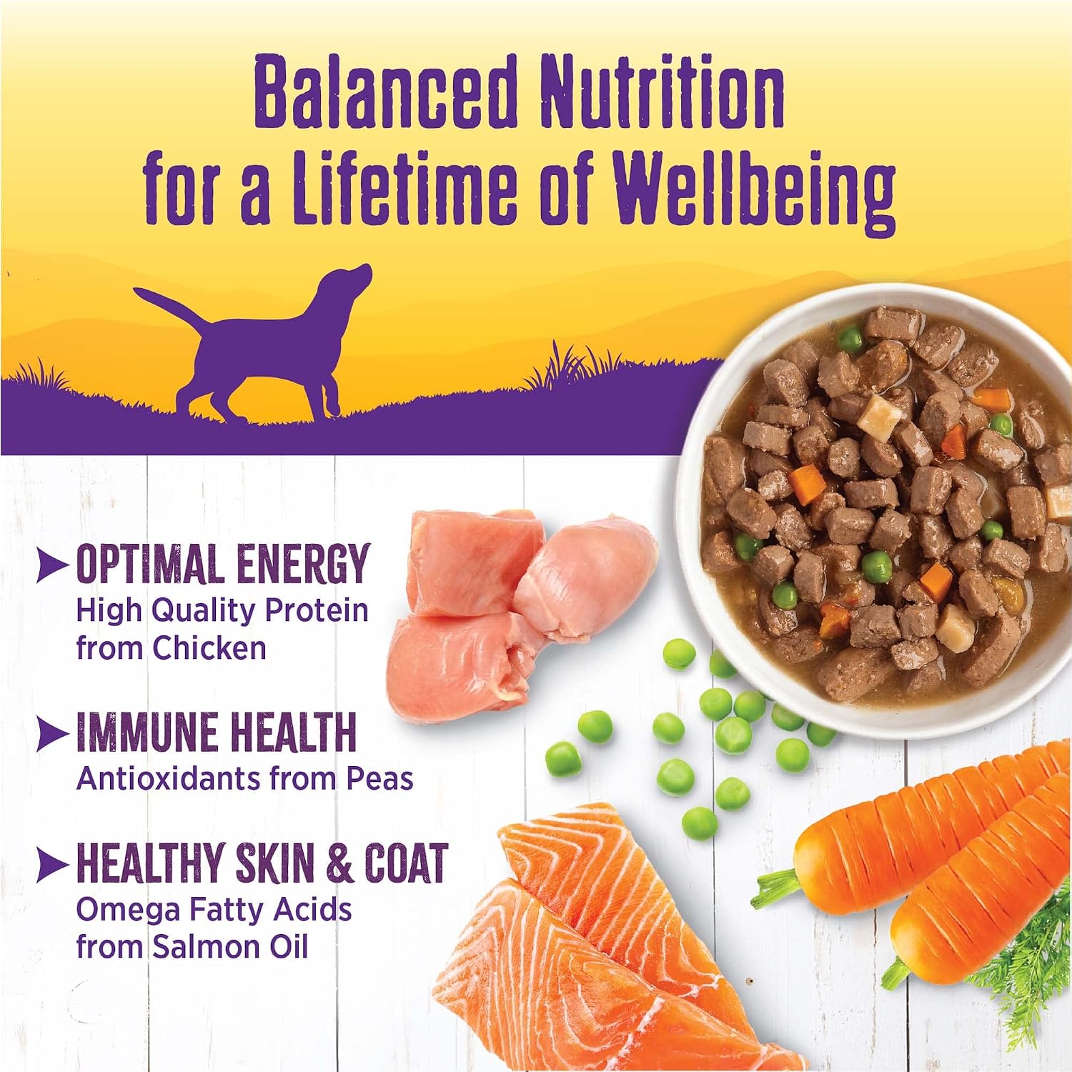 Wellness natural slow cooked homestyle dog food can label details and feeding instructions