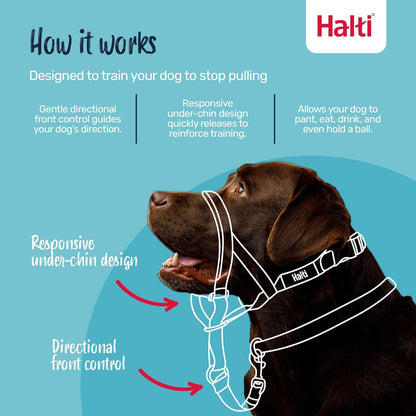 Halti anti pull collar for medium dogs showing padded neoprene nose band