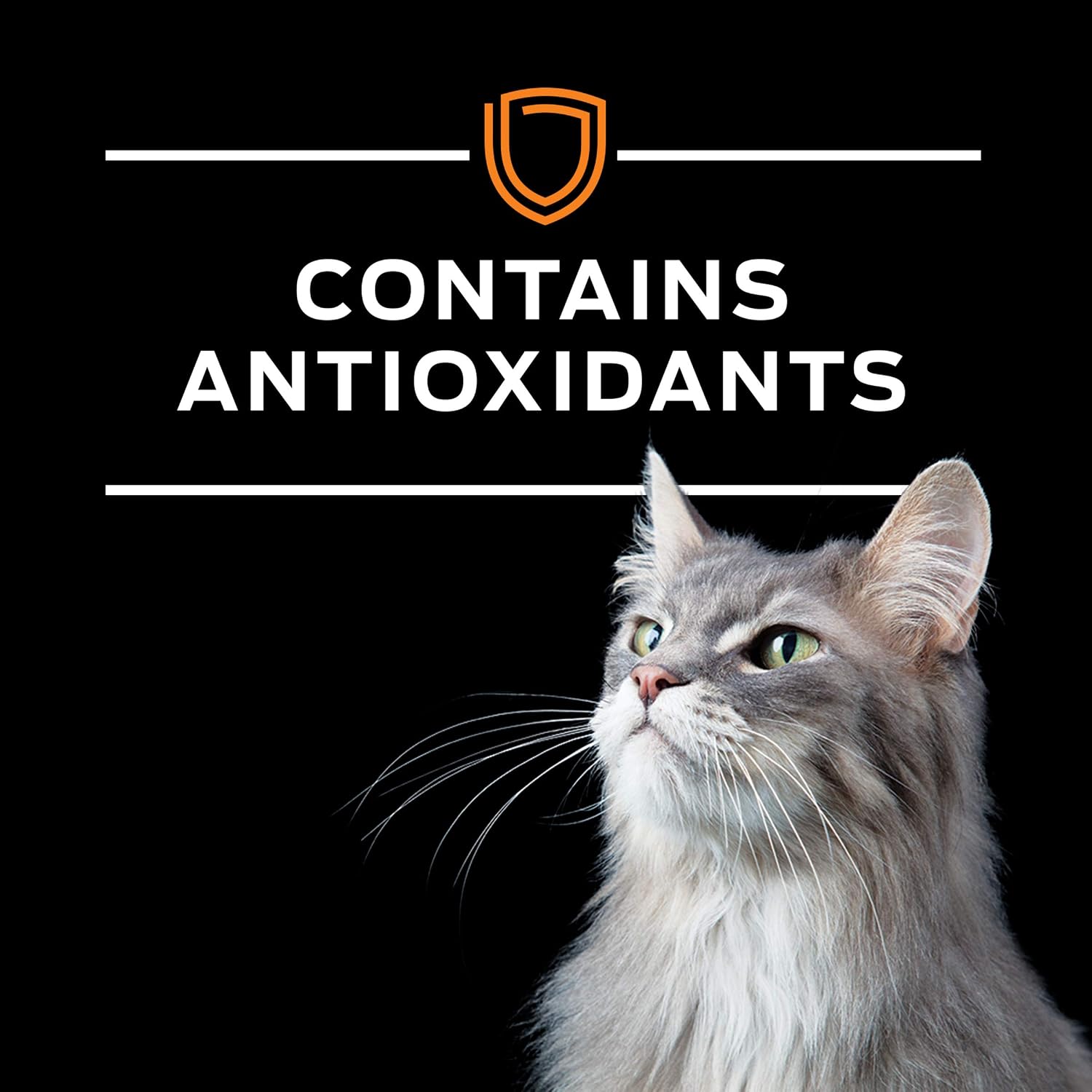 Pro Plan Veterinary Diets Purina NF Kidney Function Early Care Feline Formula Adult Dry Kidney Care Cat Food - Image 10