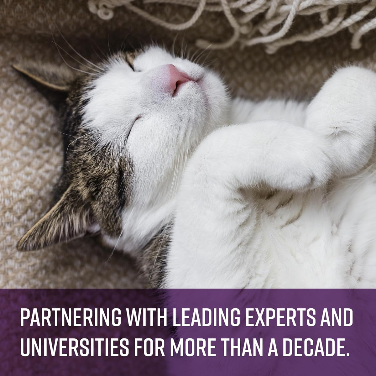 Authentic USA imported Sentry calming health supplement for cats showing chicken flavor profile