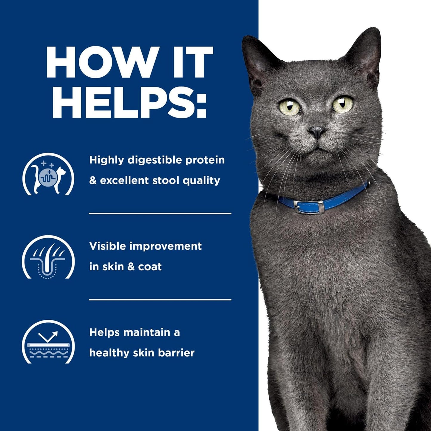 Rudra Retails authentic imported Hill's Prescription Diet wet cat food shipping box layout