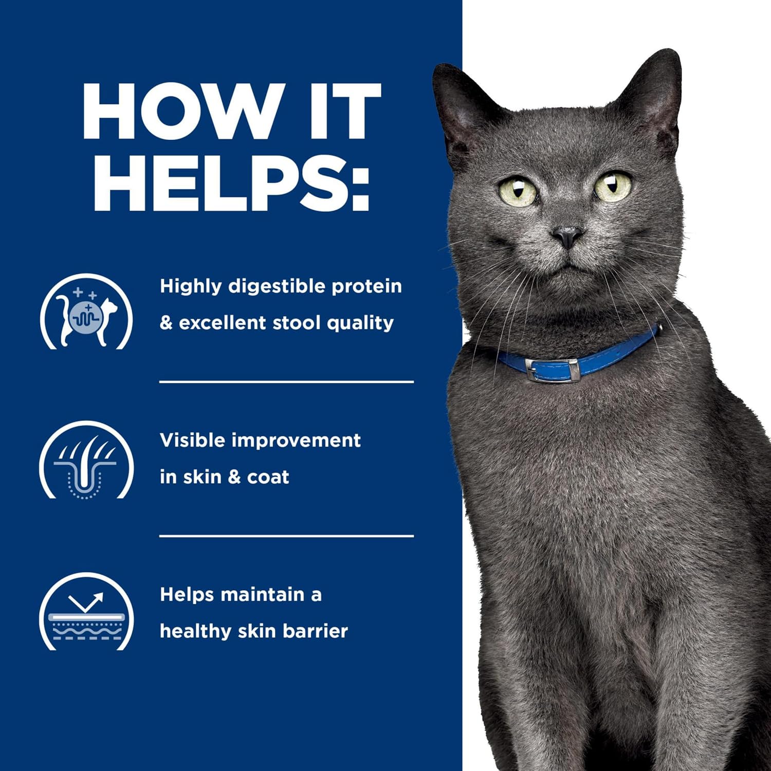 Rudra Retails authentic imported Hill's Prescription Diet wet cat food shipping box layout