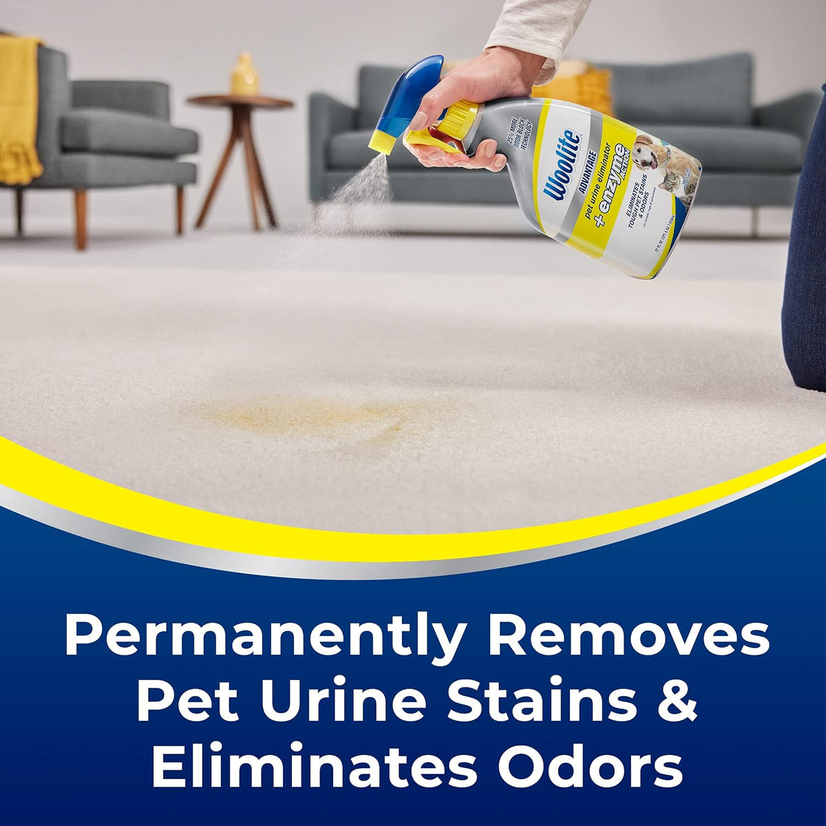 Imported USA pet urine cleaner for carpet backing and upholstery stain removal
