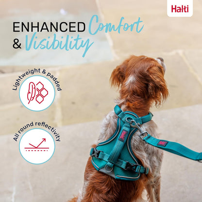 Interior neoprene padding of Halti anatomy dog harness
