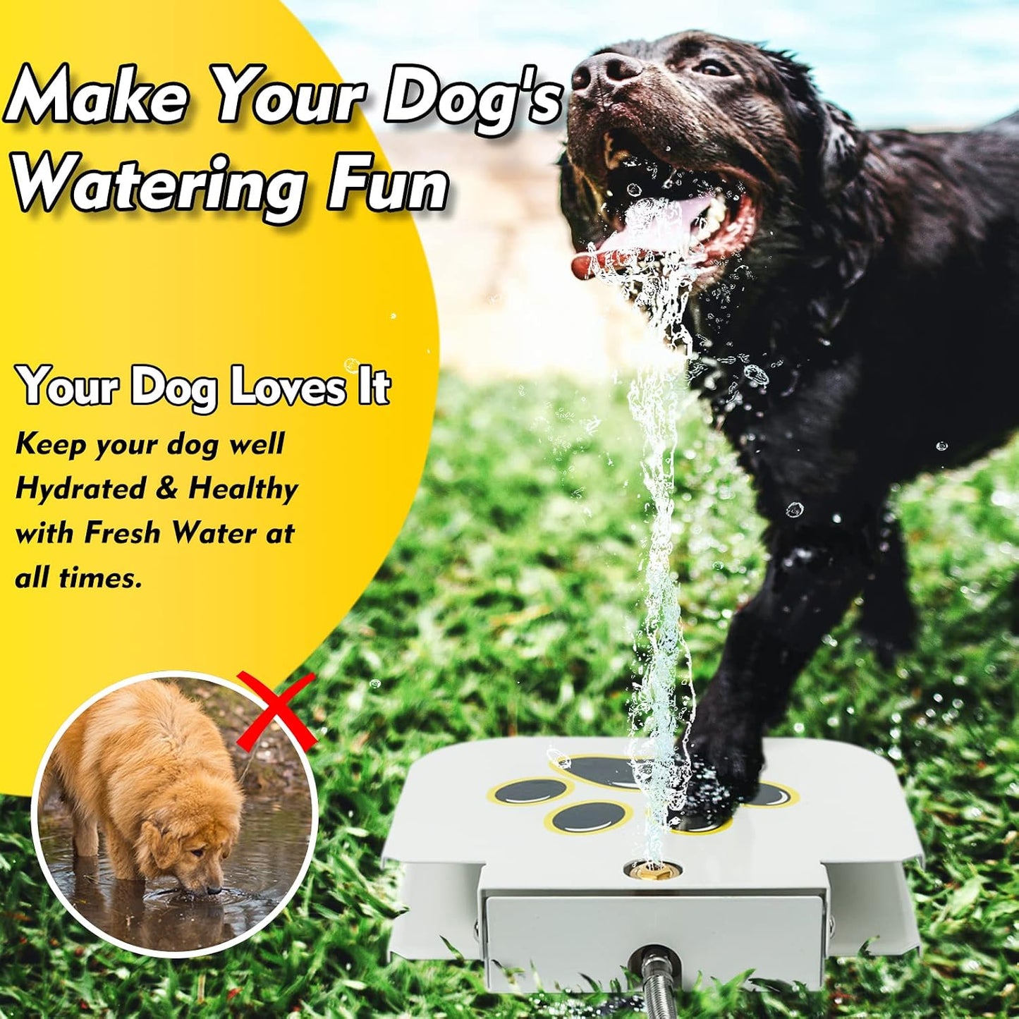 Dog using Yatoco outdoor water fountain in garden