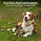 All For Paws Classic Squirrel packaging view authentic USA sourced pet product