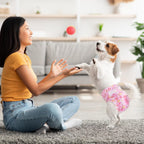 Sizing guide diagram for female dog diapers nine to fifteen inch waist