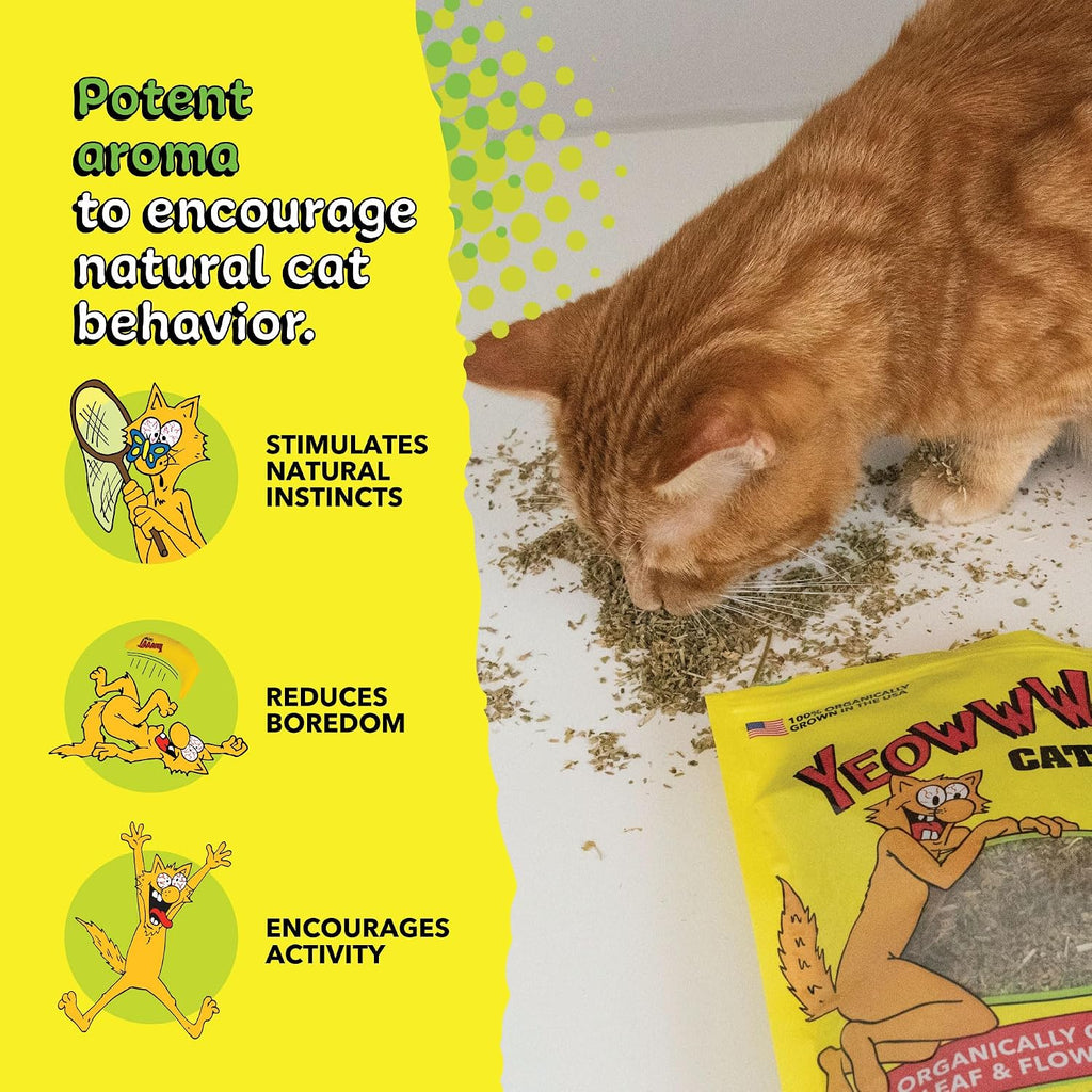 Authentic imported Yeowww pet care products available for Indian consumers