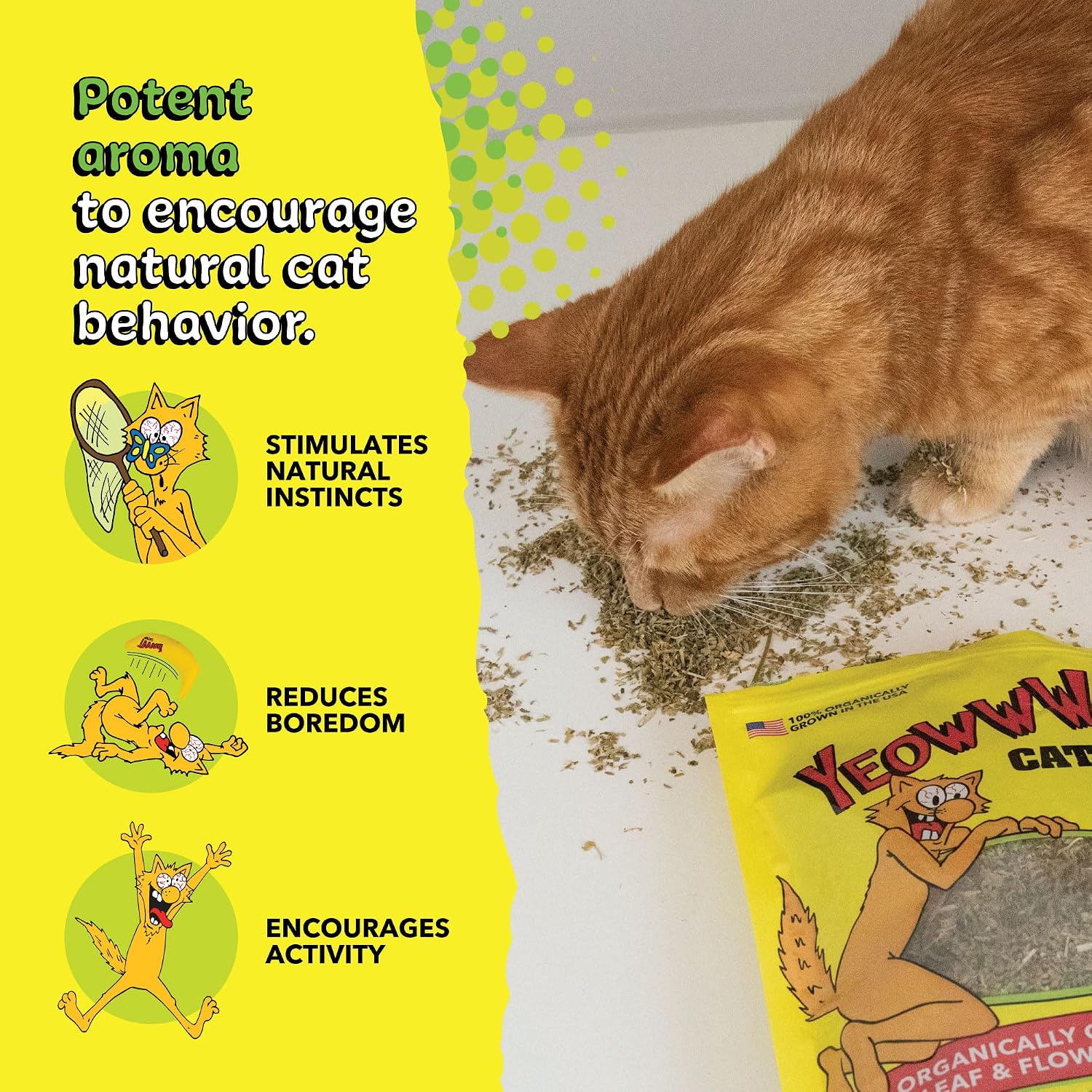 Authentic imported Yeowww pet care products available for Indian consumers