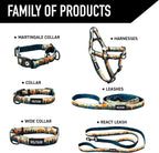 Large escape proof martingale dog collar by Wolfgang Man and Beast for active pets