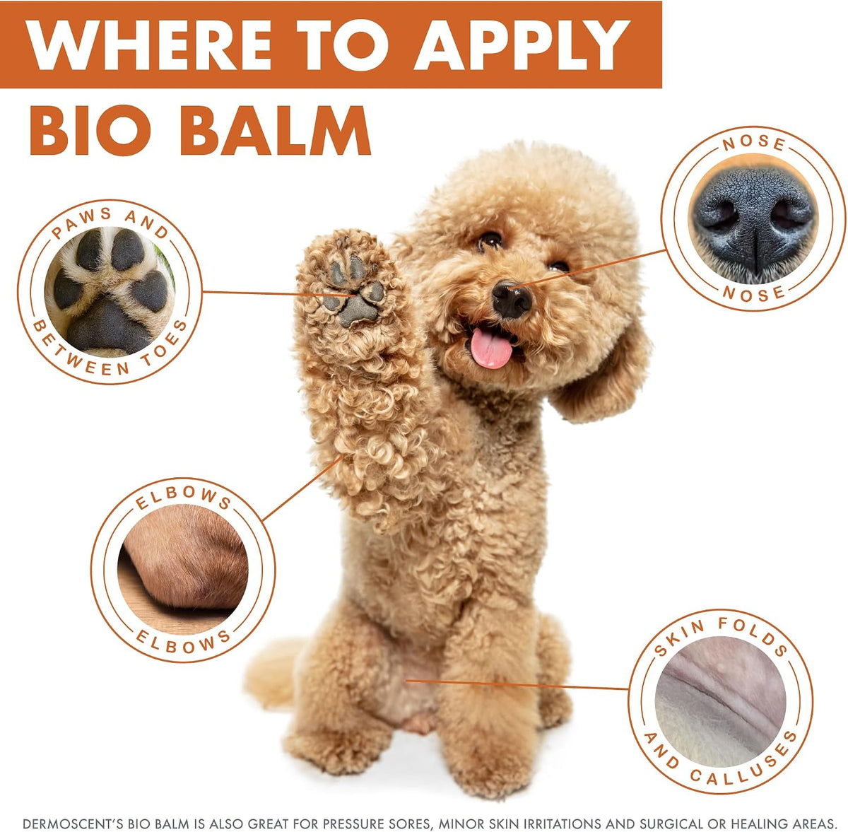 Dermoscent Bio Balm ingredient label and application details