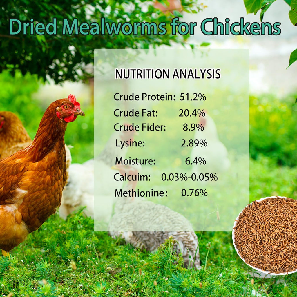 Close up of Kayhen natural non-GMO dried mealworms texture