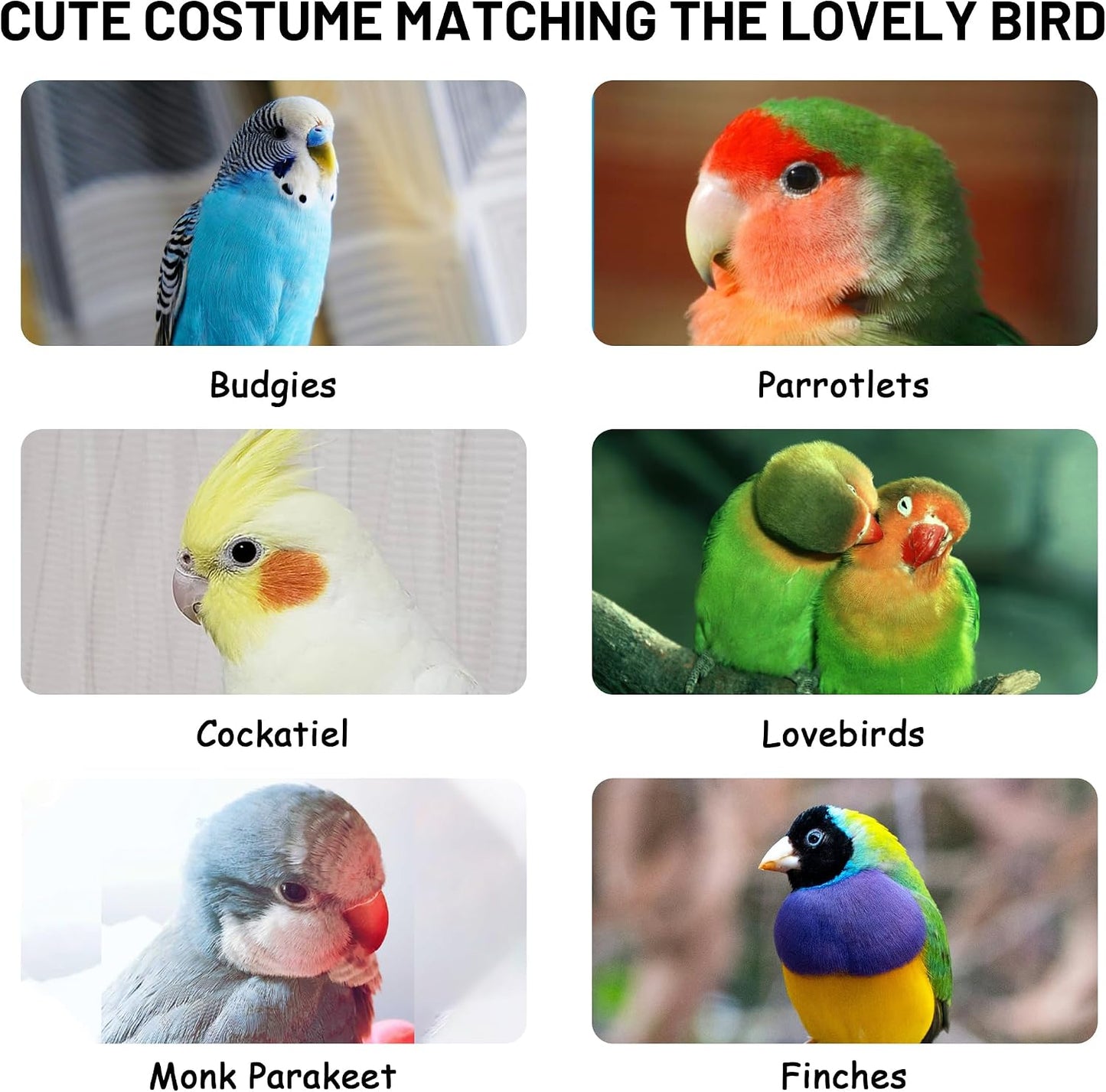 HASSLICKIT washable blue and white checkered parrot apparel detailing