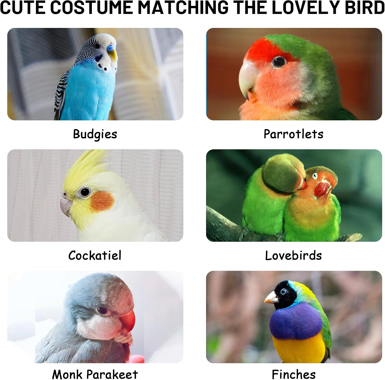 HASSLICKIT washable blue and white checkered parrot apparel detailing