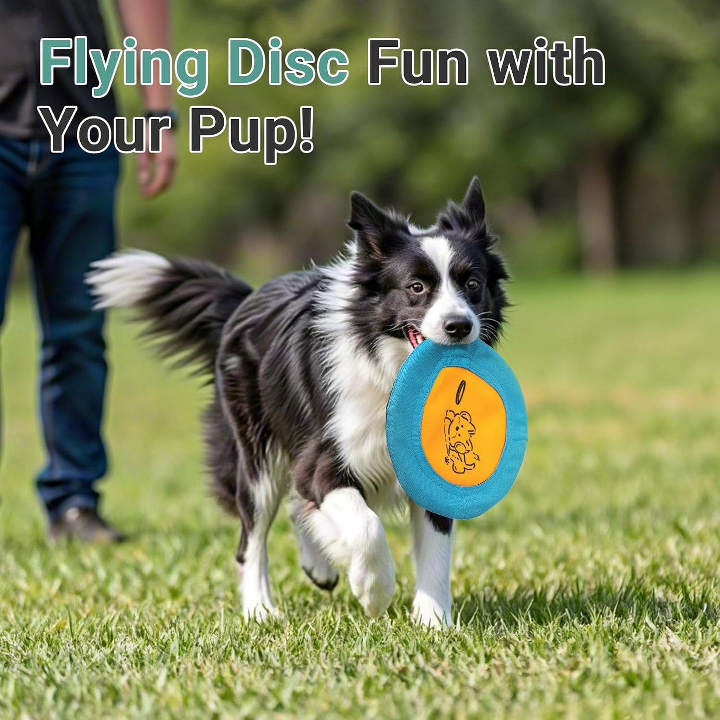 Bifeaw dog frisbee set showing blue and yellow colors