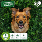 Close up of botanical ingredient label on Beloved Pets collar box