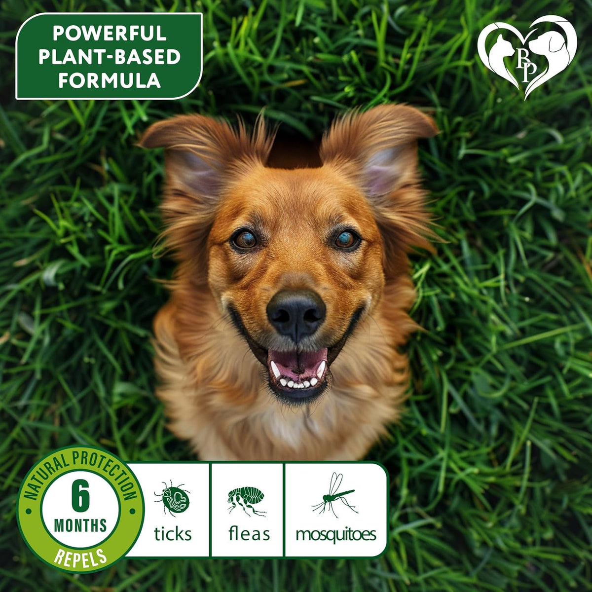Close up of botanical ingredient label on Beloved Pets collar box