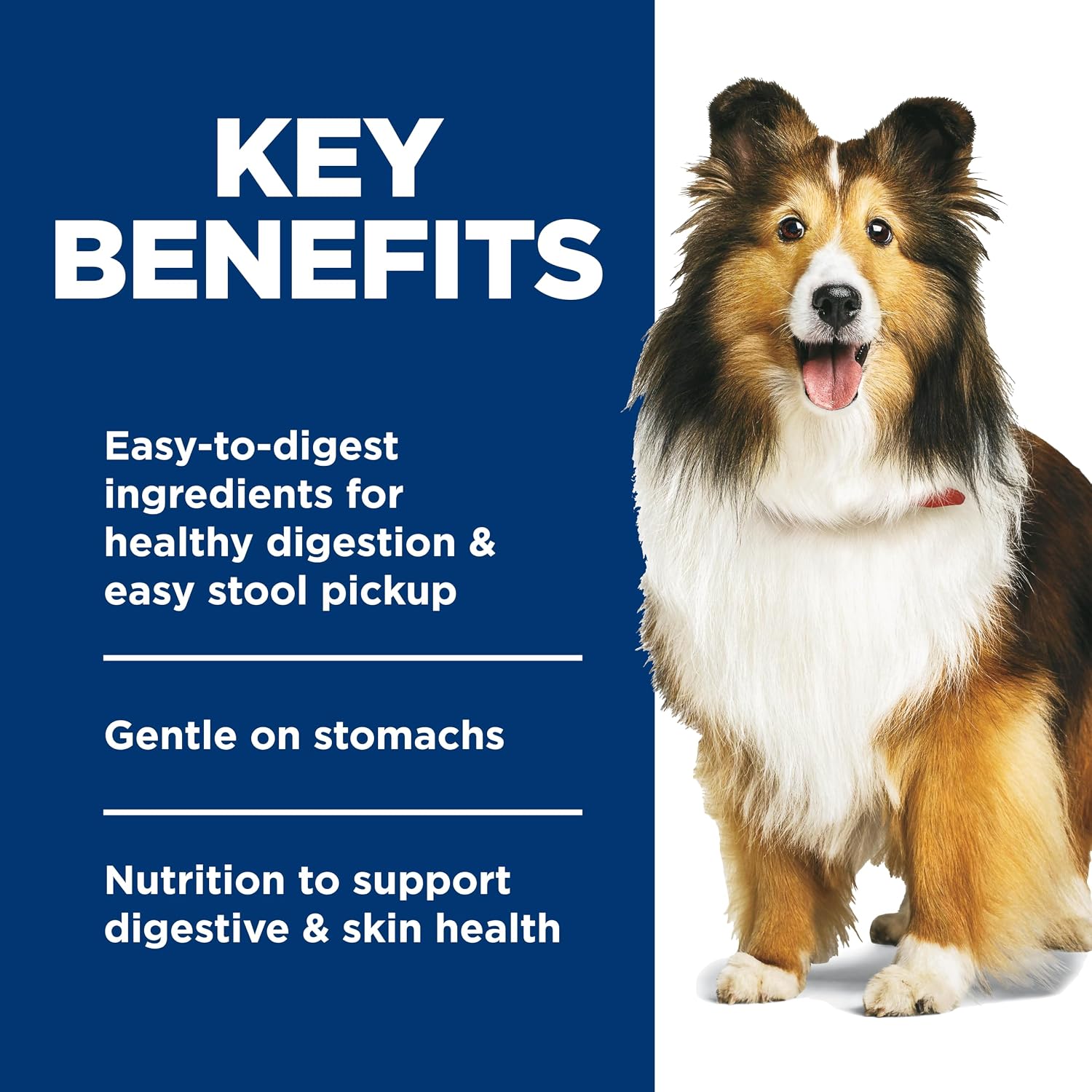 Hill's Science Diet adult dog food pouches savory chicken and vegetable stew meal topper
