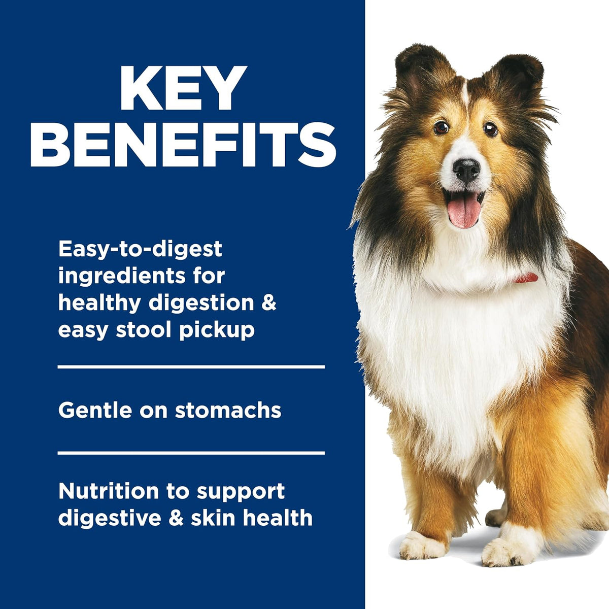 Hill's Science Diet adult dog food pouches savory chicken and vegetable stew meal topper