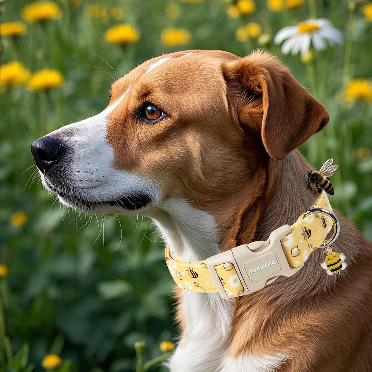 Adjustable cotton floral dog collar for medium dogs