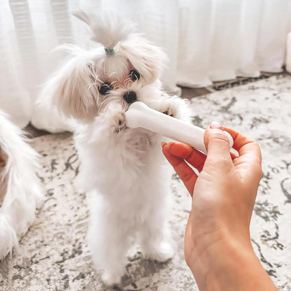 Nylabone puppy teething bone blue soft texture