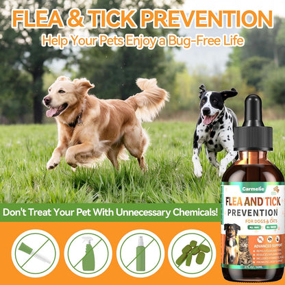 Carmelie daily oral pet defense drops mixed in dog food bowl