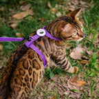 Adjustable lightweight soft nylon kitten walking vest with secure dual quick release buckles