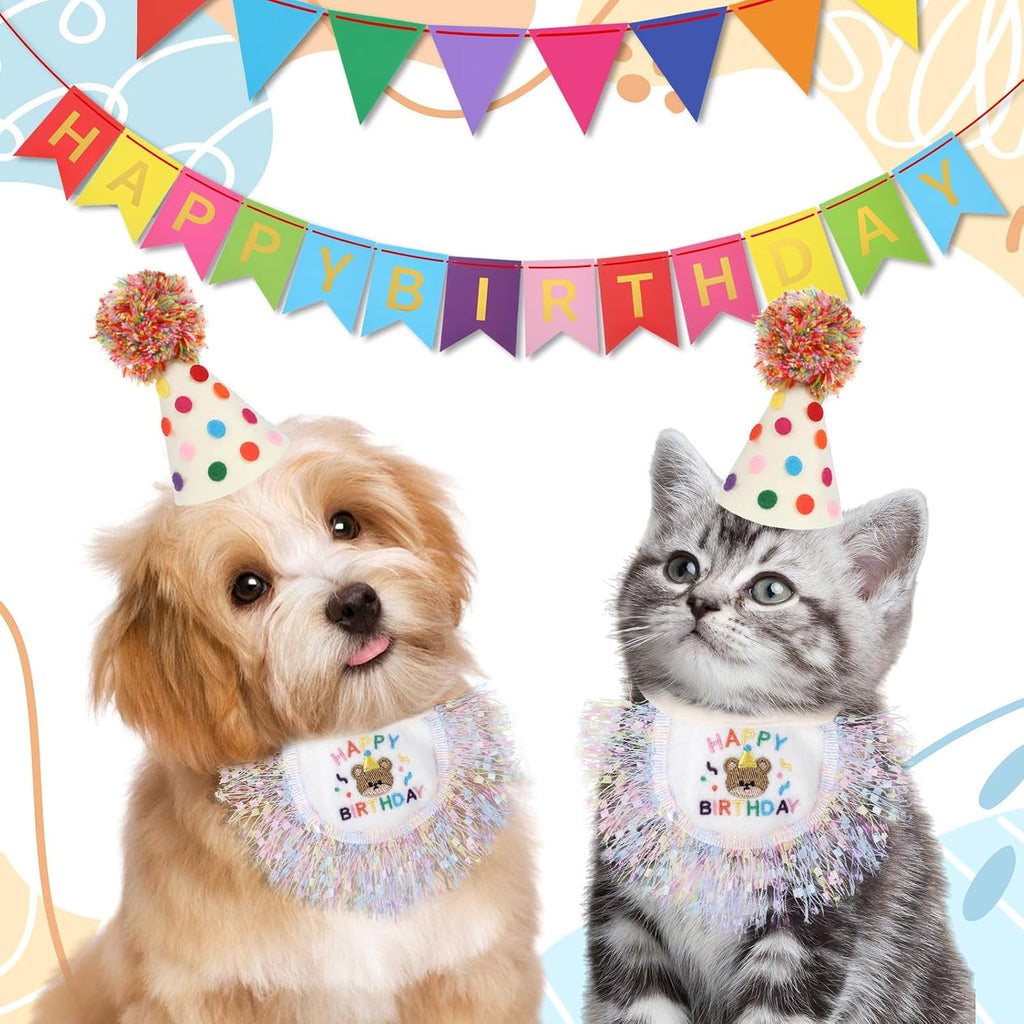 Cat birthday party accessories set on display