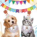 Cat birthday party accessories set on display