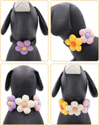 PET SHOW multi color dog collar flower decorations for festive grooming