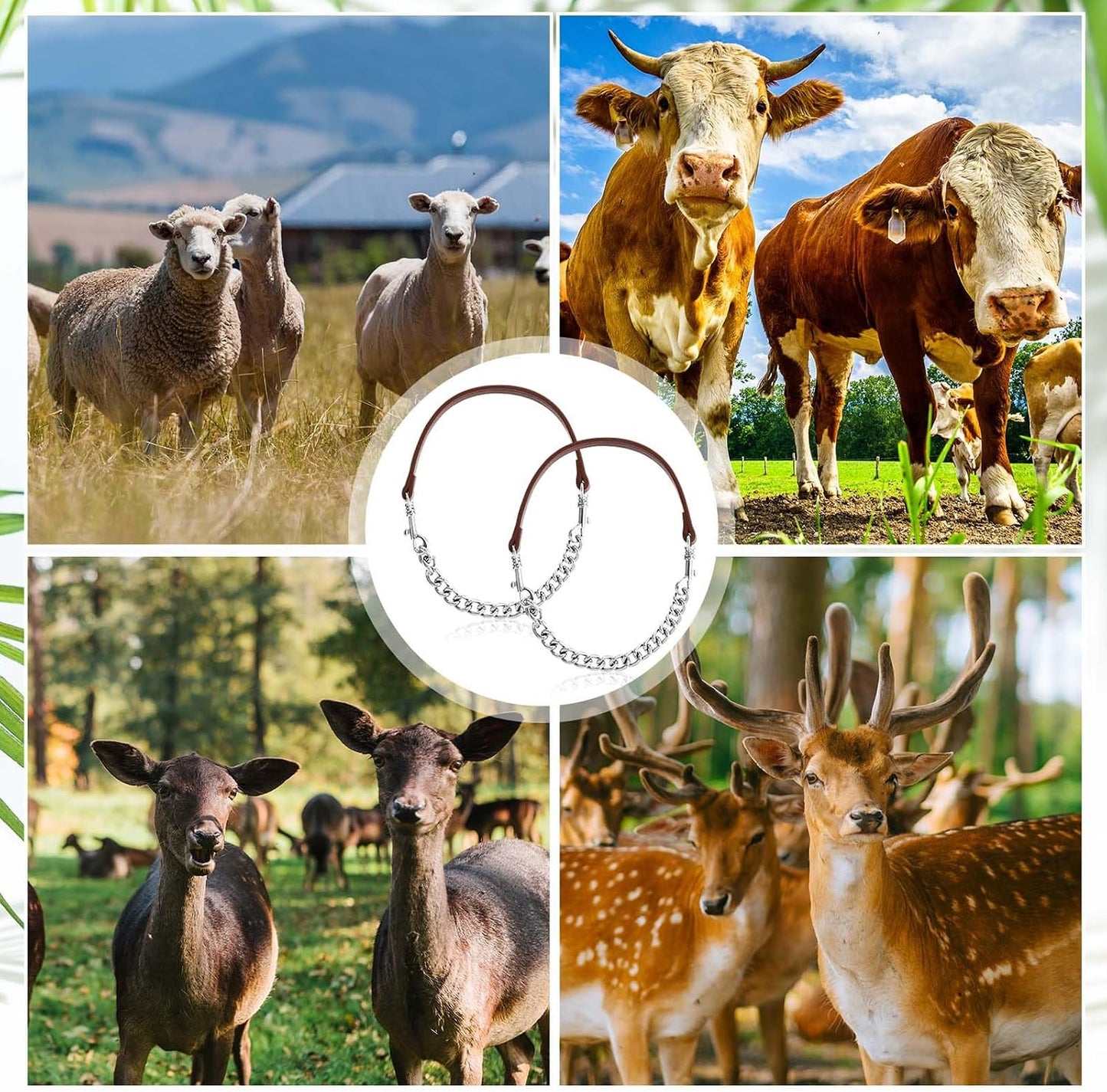 Misdary heavy duty farm animal collar laid flat to demonstrate full product dimensions and security links