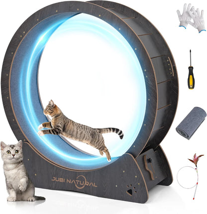 JubiNatural cat exercise wheel front view indoor fitness treadmill