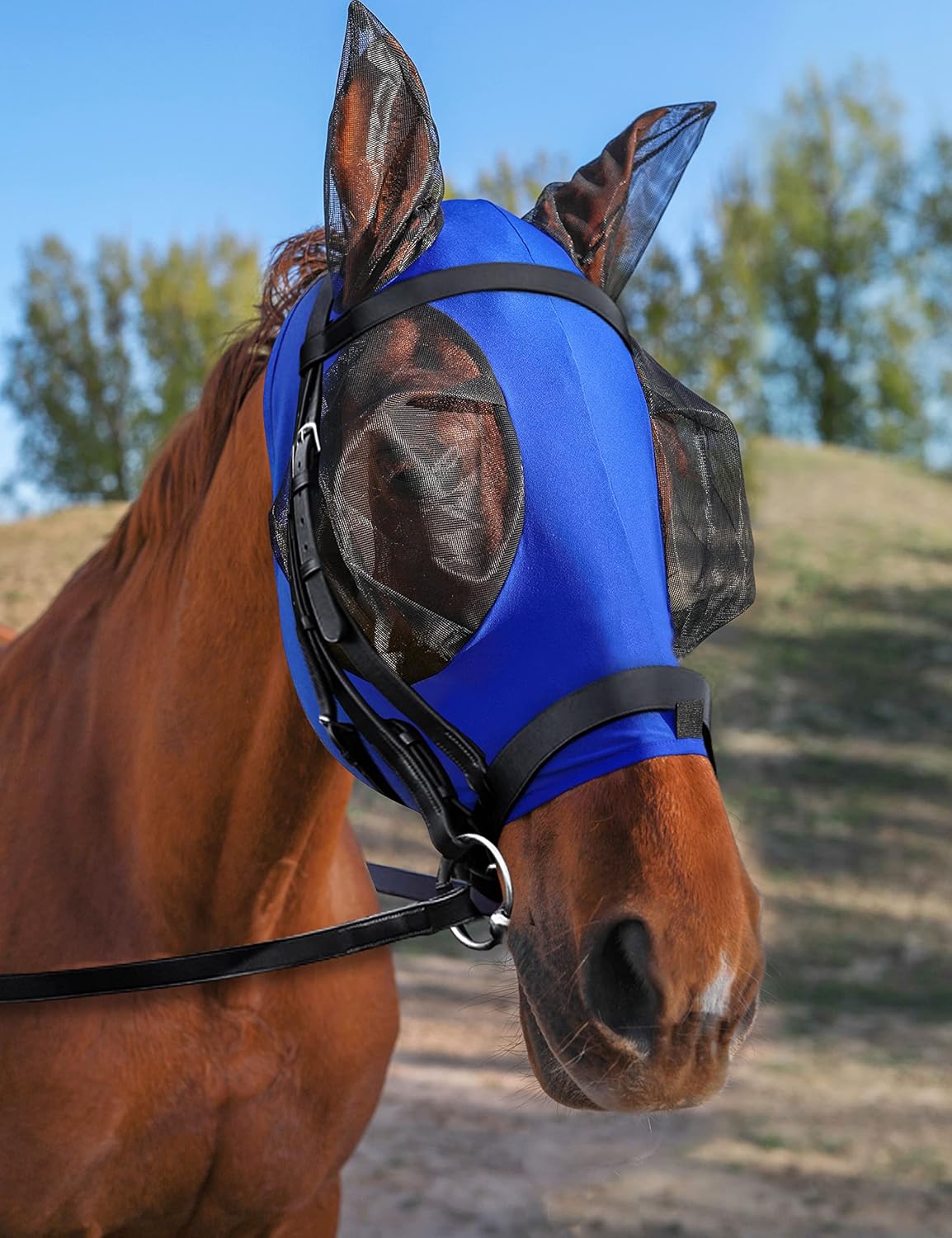 HackFond royal blue horse fly mask with ears front view